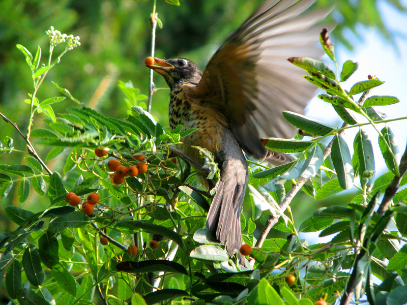 original photograph with no alterations