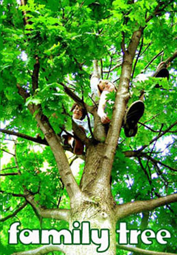 Kids in the tree.