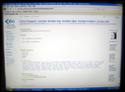 web window filling screen